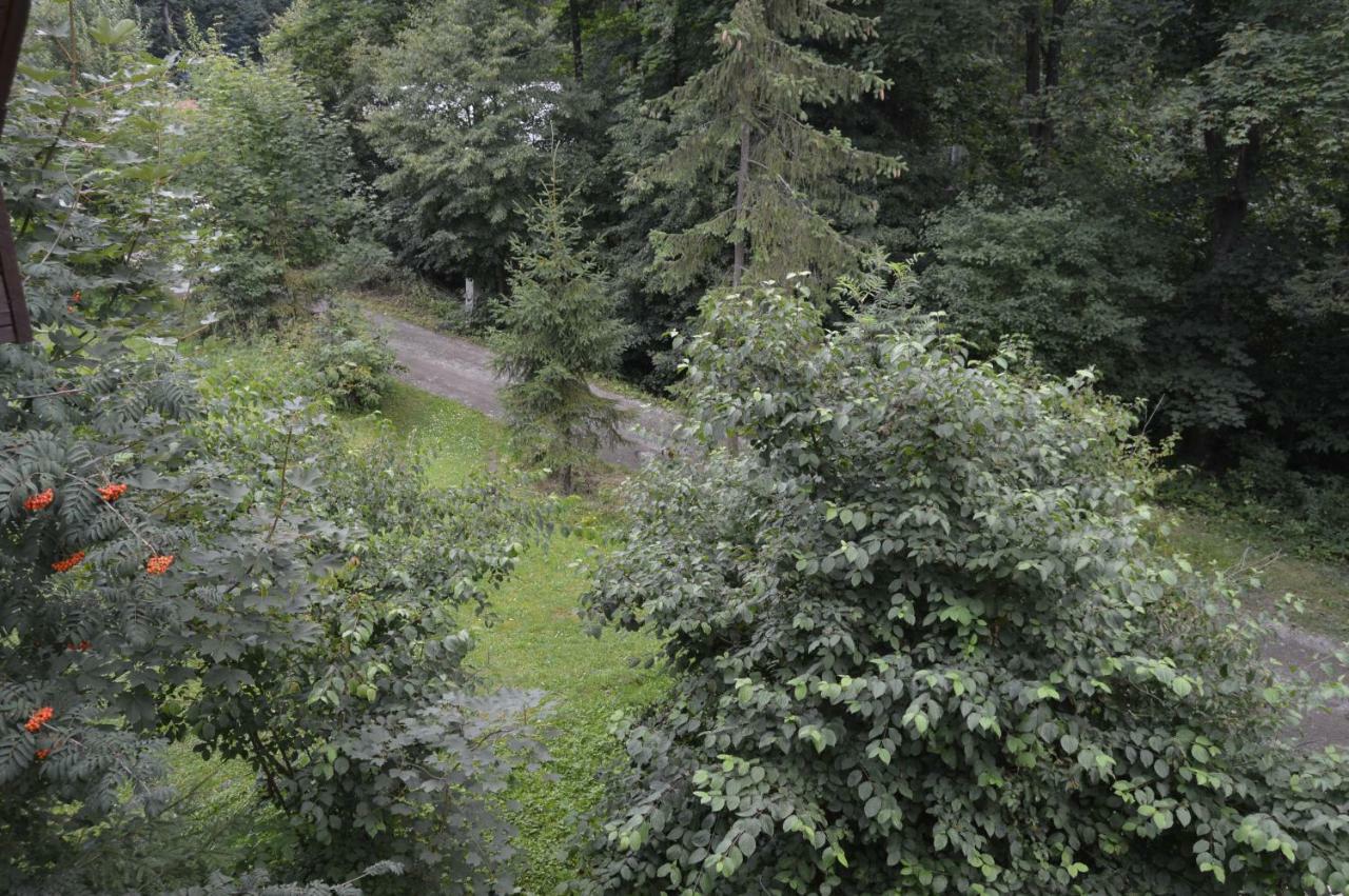 Chata Adrian Slovak Paradise Spišské Tomášovce Esterno foto